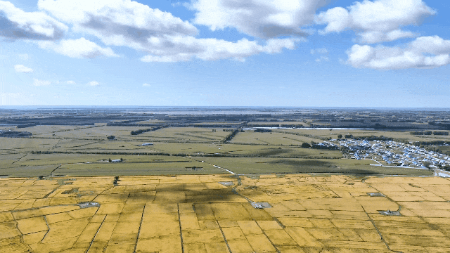 黑土111.gif 黑土111.gif