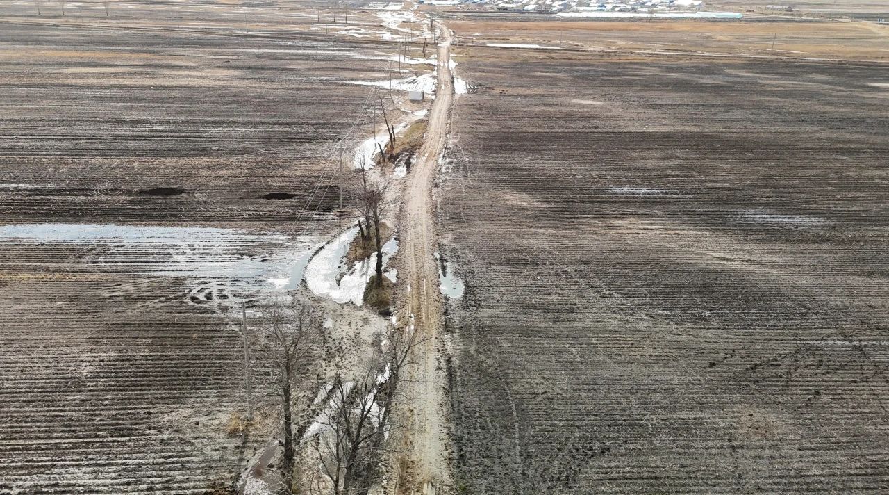 黑土222.jpg 黑土222.jpg