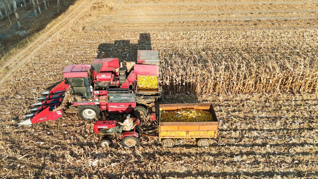 黑土999.jpg 黑土999.jpg